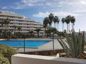 Viña del mar - Costa Adeje