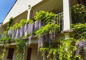 Sejours chez l'habitant Pavillon de Diane, Le Malesherbois : photos des chambres