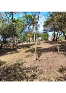 Casa KIA - Pet Friendly img43