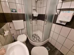 Apartment IVANA