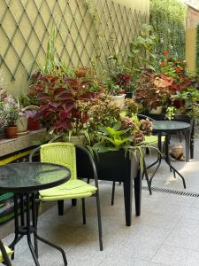 Art Green Boutique Hotel