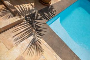 Alba Regia CatARTHome Costa Adeje - private pool