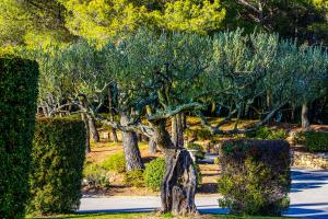 Hotels La Bastide De Tourtour Hotel & Spa : photos des chambres