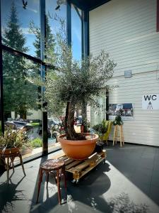 Aleksandri Guesthouse