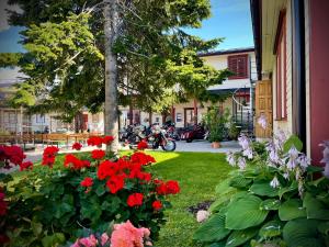 Aleksandri Guesthouse