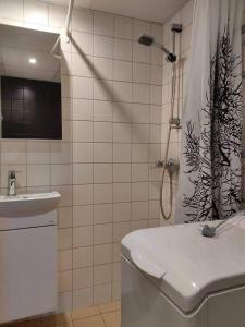 Riia mnt kortermajutus