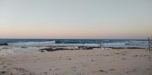 شقة فندقية - برج نجمة القصر