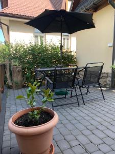 Apartament u Zosi