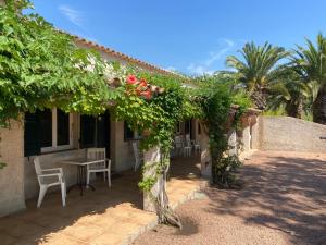 Maisons d'hotes Les Lodges de la Plage U Dragulinu : photos des chambres
