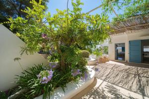 SON DE MAR - Managed by Almarina