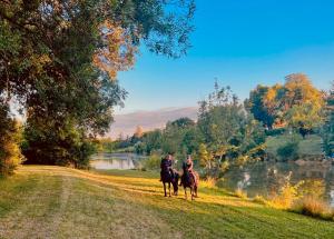 Hotels Domaine de Boulouch : photos des chambres