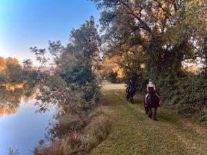 Hotels Domaine de Boulouch : photos des chambres