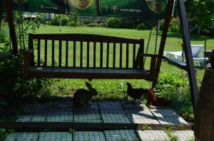 The Old House Guest House