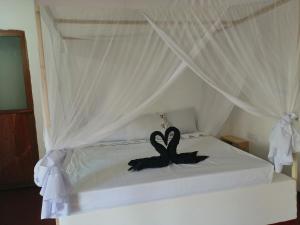 Babalao Rooftop Hotel