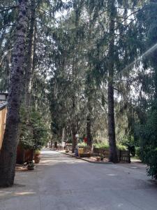 Agriturismo Iacchelli Armando B&B