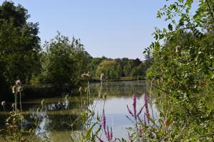 Hotels Domaine de Boulouch : photos des chambres