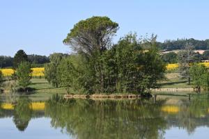 Hotels Domaine de Boulouch : photos des chambres