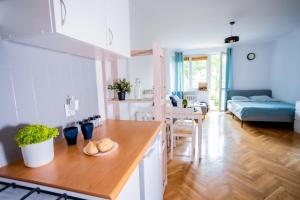 SuperApart Plac Dąbrowskiego 12 - Blisko PKiN i Metra