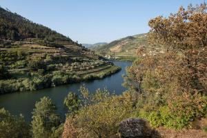 Quinta de São Pedro