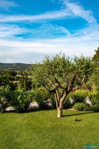 Appartements Le Clos des Eucalyptus : photos des chambres