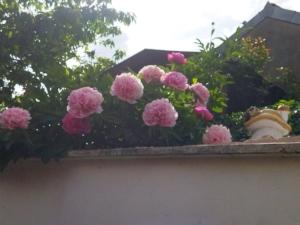 ESCAPADE CHAMPENOISE