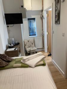 Linnaea Cottage & Rooms - Rear of Radnor Arms