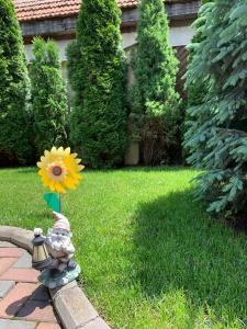 Pensiunea Haiduc Sacele Brasov