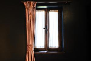 Bohemian Sophie Korce