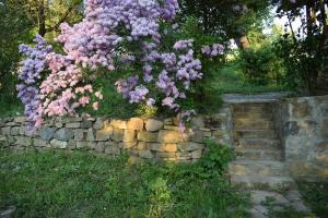 Birdsong Cottage - peaceful country retreat