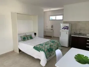 Anandi - Villa Constitución