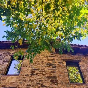 Hotel Rural Las Campares - Viñayo