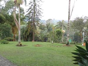 Hotel Villa Carolina