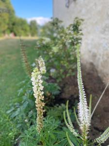 Sejours chez l'habitant Domaine de La Vove : photos des chambres