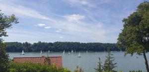 Forest Lake Mikołajki