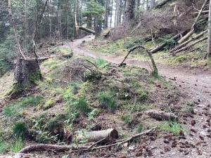 10 person holiday home in Fjerritslev-By Traum