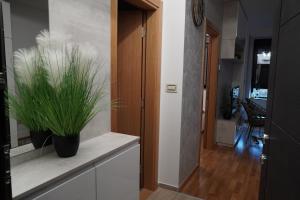 Dunjas home