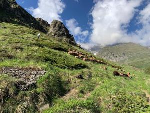 Maisons de vacances Maison ecologique pleine montagne (eco-gite gavarnie) : photos des chambres