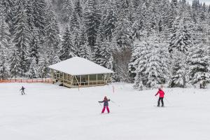 Mountain-Rest Pension