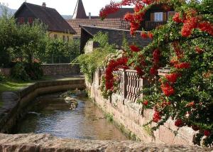 Gîte chez "Mamie Schlop"