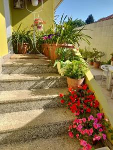 Corazón do Val da Louriña-Área Vigo