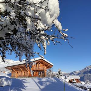 Chalet neuf vue panoramique sur le MONT-BLANC