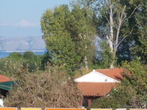 Studio with Sea View