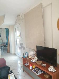 Dream Nikiti xalkidikis