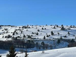 Maisons d'hotes Jasserie Les Airelles : photos des chambres