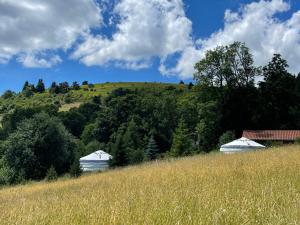 Maisons d'hotes Jasserie Les Airelles : photos des chambres