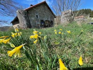 Maisons d'hotes Jasserie Les Airelles : photos des chambres