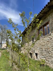 Maisons d'hotes Jasserie Les Airelles : photos des chambres
