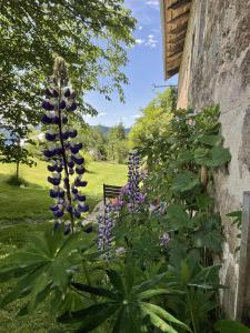 Maisons d'hotes Jasserie Les Airelles : photos des chambres