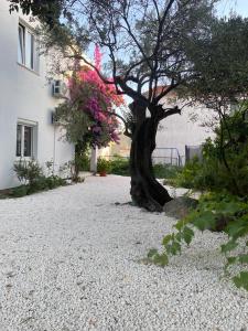 Olive Garden Apartments