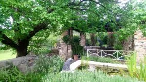 Black Cottage - Smithfield